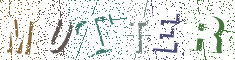 Type the Shadowed Word