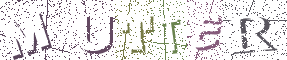 Type the Shadowed Word