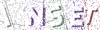 Type the Shadowed Word